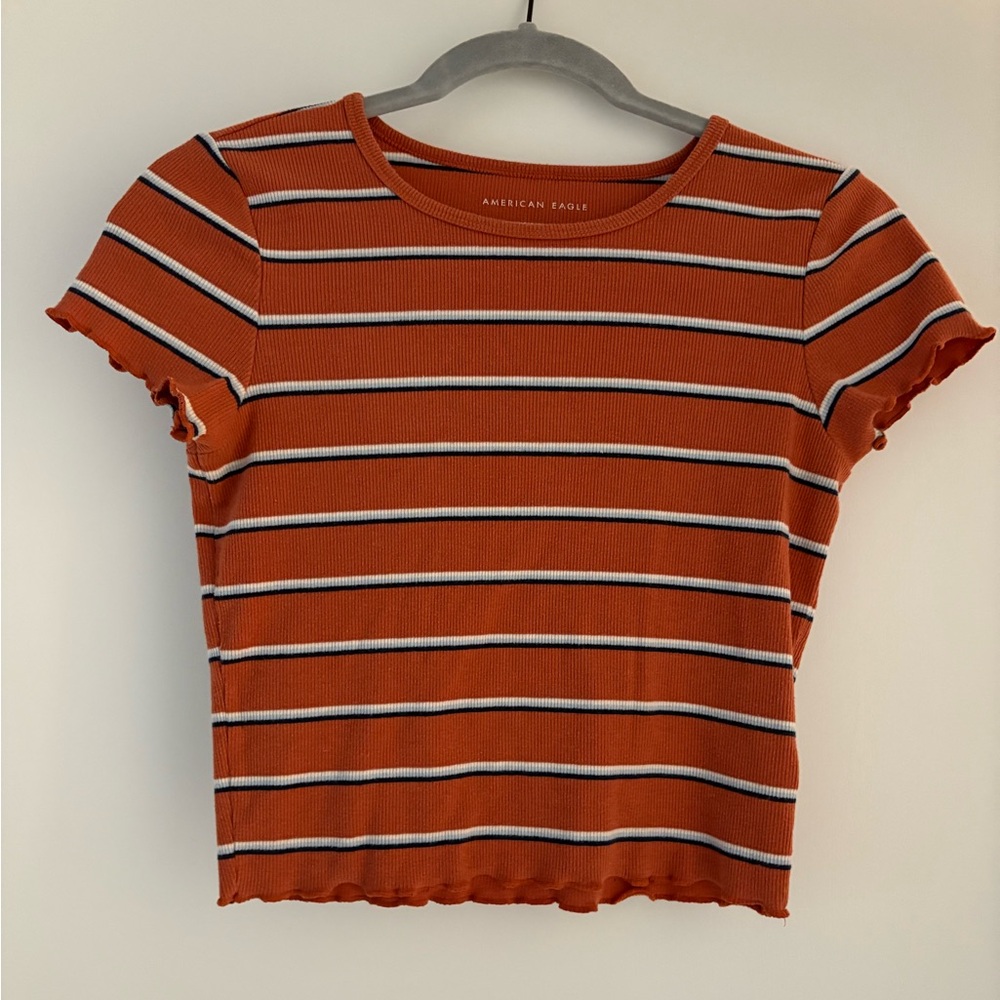 American Eagle Outfitters Rust Striped Crop Top
